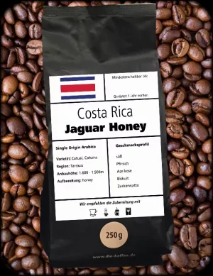 Costa Rica "Jaguar" Honey