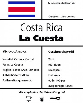 Costa Rica "La Cuesta" anaerobic 500g / Stempelkanne
